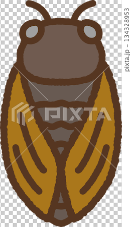 手書き風の生き物単品アイコンイラスト 蝉 手書き風の生き物単品アイコンイラスト 蝉 134328953