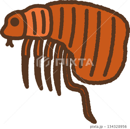 手書き風の生き物単品アイコンイラスト　ノミ 134328956