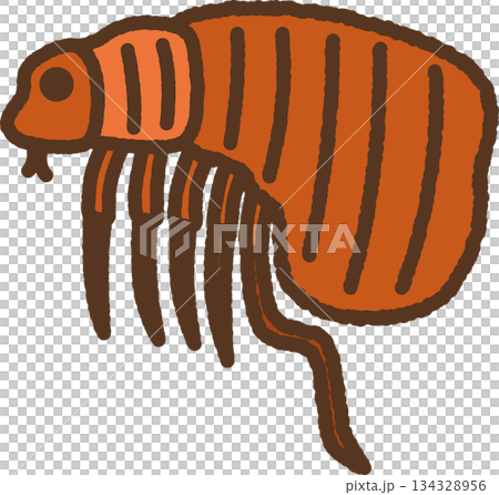手繪生物單圖示插圖:跳蚤 手繪生物單圖示插圖:跳蚤 134328956