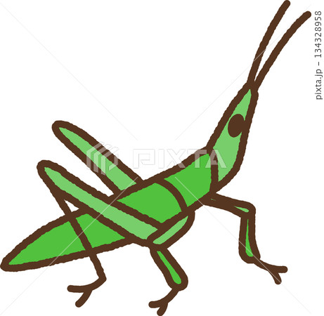 手書き風の生き物単品アイコンイラスト　ショウリョウバッタ 134328958