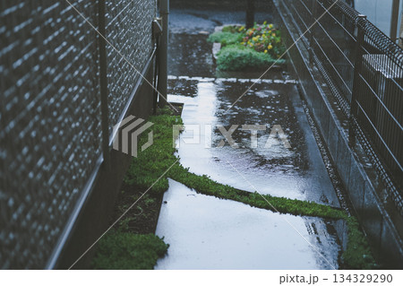rain rain 134329290