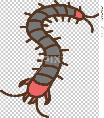 Hand-drawn creature icon illustration: centipede Hand-drawn creature icon illustration: centipede 134329321