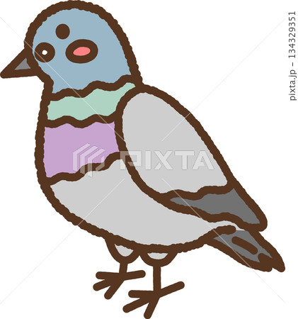 手書き風の生き物単品アイコンイラスト 鳩 手書き風の生き物単品アイコンイラスト 鳩 134329351