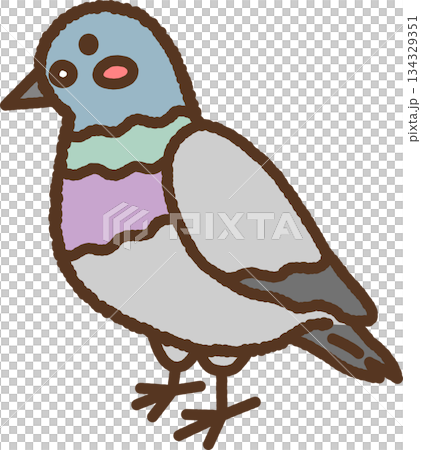 手書き風の生き物単品アイコンイラスト 鳩 手書き風の生き物単品アイコンイラスト 鳩 134329351