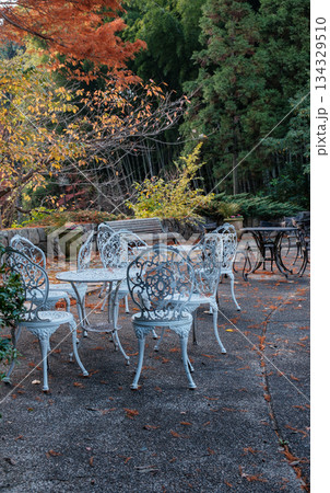 須磨離宮公園の日本庭園の紅葉とテーブル 134329510