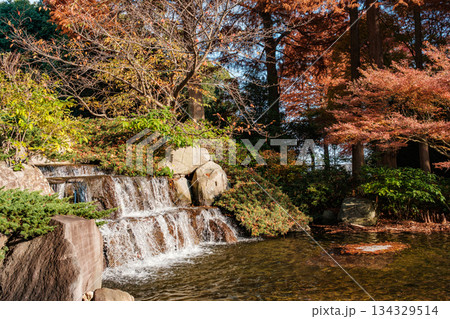神戸須磨離宮公園の秋の紅葉と池 134329514