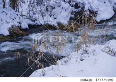 雪の積もった渓流 雪の積もった渓流 134329560