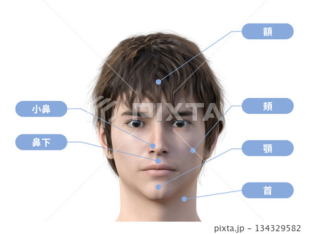 美容脱毛 目を開けた男性の顔脱毛の施術部位の図解イラスト 顔アップ正面 美容脱毛 目を開けた男性の顔脱毛の施術部位の図解イラスト 顔アップ正面 134329582