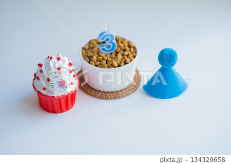 cat care concept with cake and food with birthday anniversary cat care concept with cake and food with birthday anniversary 134329658
