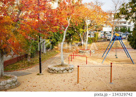 秋の公園遊具・ブランコと紅葉 134329742