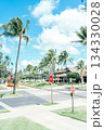 青空に映えるヤシの木 134330028