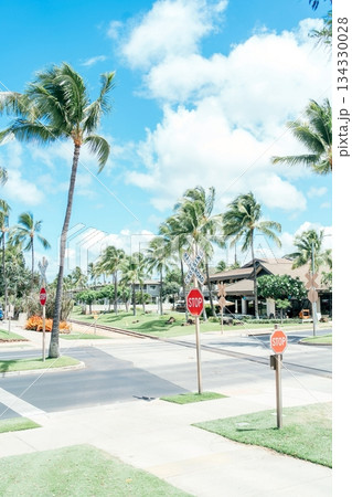 青空に映えるヤシの木 134330028