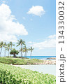美しい海岸の風景 134330032