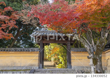 秋篠寺 東門 紅葉の季節 秋篠寺 東門 紅葉の季節 134330052