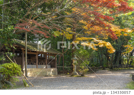 秋篠寺 十三社 紅葉の季節 秋篠寺 十三社 紅葉の季節 134330057