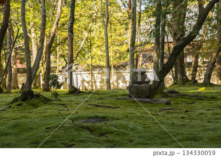秋篠寺 美しい苔庭 紅葉の季節 秋篠寺 美しい苔庭 紅葉の季節 134330059