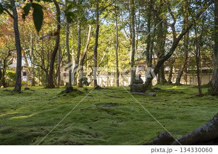 秋篠寺 美しい苔庭 紅葉の季節 秋篠寺 美しい苔庭 紅葉の季節 134330060