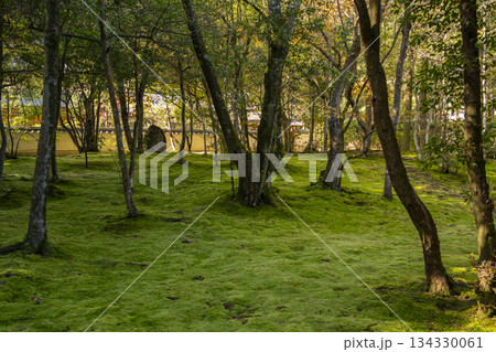 秋篠寺　美しい苔庭　紅葉の季節 134330061