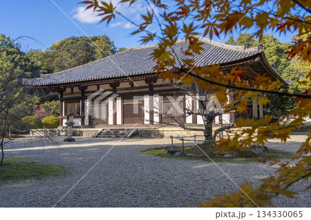 秋篠寺　本堂　紅葉の季節 134330065
