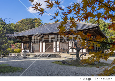 秋篠寺 本堂 紅葉の季節 秋篠寺 本堂 紅葉の季節 134330067