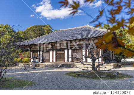秋篠寺　本堂　紅葉の季節 134330077