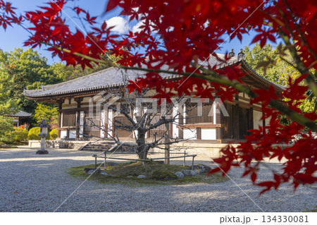 秋篠寺　本堂　紅葉の季節 134330081