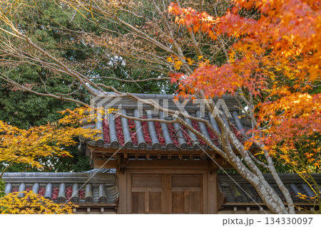 秋篠寺　香水閣　紅葉の季節 134330097