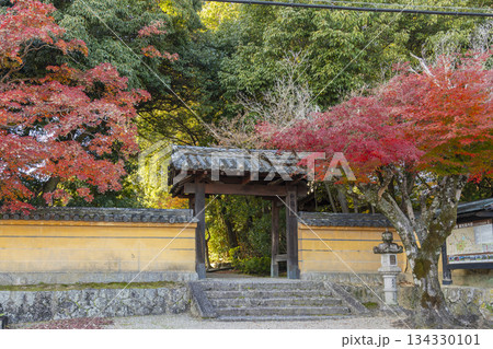 秋篠寺　東門　紅葉の季節 134330101