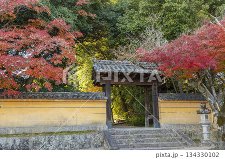 秋篠寺 東門 紅葉の季節 秋篠寺 東門 紅葉の季節 134330102