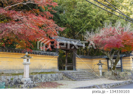 秋篠寺　東門　紅葉の季節 134330103