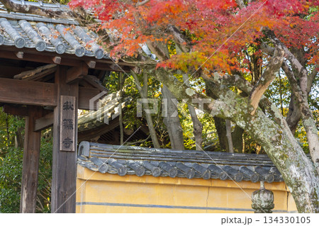 秋篠寺 東門 紅葉の季節 秋篠寺 東門 紅葉の季節 134330105