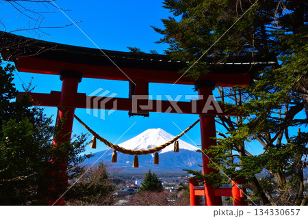 春　新倉富士浅間神社　鳥居 134330657