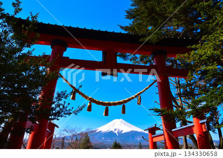 春 新倉富士浅間神社 鳥居 春 新倉富士浅間神社 鳥居 134330658