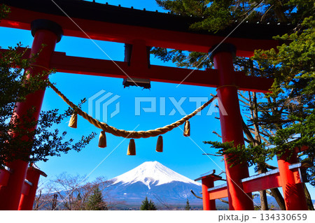 春 新倉富士浅間神社 鳥居 春 新倉富士浅間神社 鳥居 134330659