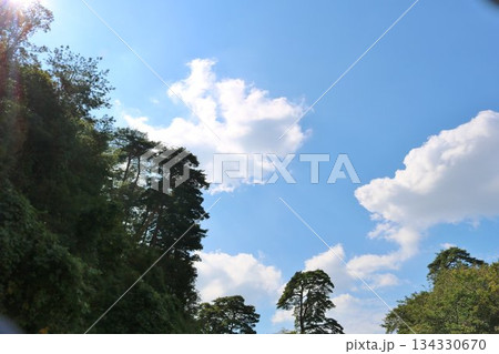 爽やかな風景　秋の唐沢山　 134330670