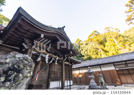 八所御霊神社(奈良県奈良市秋篠町) 八所御霊神社(奈良県奈良市秋篠町) 134330944