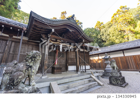 八所御霊神社(奈良県奈良市秋篠町) 八所御霊神社(奈良県奈良市秋篠町) 134330945