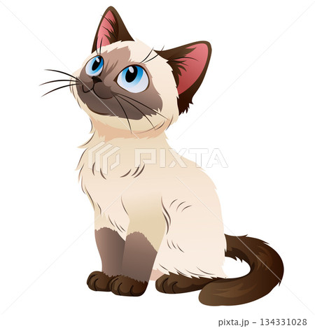 siamese cat cute cartoon character 134331028