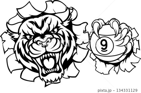 Tiger and 9 Ball Nine Ball Pool Cartoon Mascot Tiger and 9 Ball Nine Ball Pool Cartoon Mascot 134331129