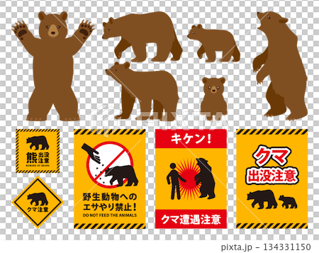 Bear set_Brown bear 134331150