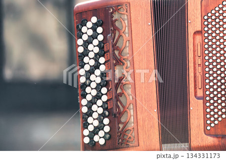 Chromatic accordion detail Chromatic accordion detail 134331173