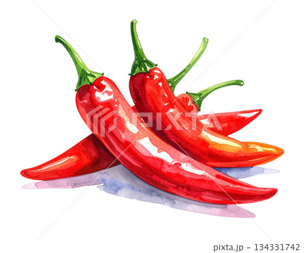 赤唐辛子の水彩イラスト 赤唐辛子の水彩イラスト 134331742