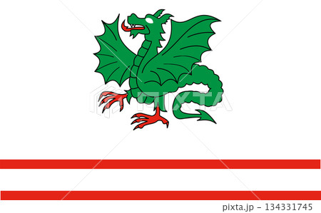 Flag of Garvolinsk District 134331745