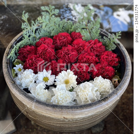 花手水 花手水 134331774