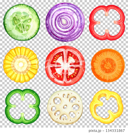 色彩繽紛的蔬菜切片水彩插圖 134331867