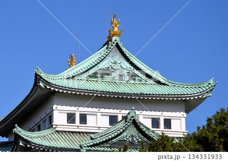 金鯱が映える名古屋城天守閣 134331933