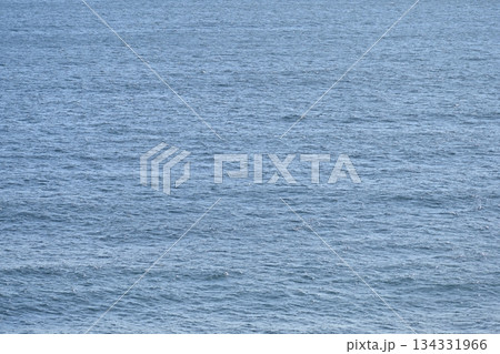 青い海 水面 一面 冬の海 12月 素材 【神奈川県 三浦市】 青い海 水面 一面 冬の海 12月 素材 【神奈川県 三浦市】 134331966