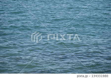 青い海 水面 一面 冬の海 12月 素材 【神奈川県 三浦市】 134331980