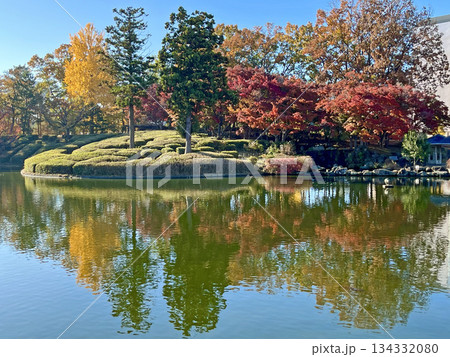 池のある公園の風景 池のある公園の風景 134332080