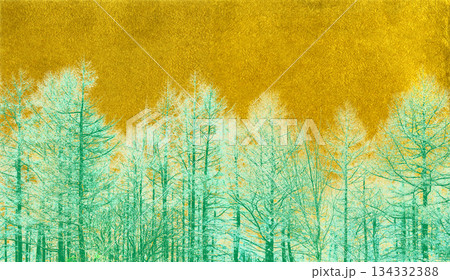 白い雪化粧が美しい冬の森、リアルな落葉樹のシルエット 134332388